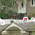 Seeking a Freedmen/FBA/Black Owned Licensed General Contractor 1 thumbnail