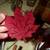 FALL DECORATION LOT Glass Pumpkin Candle Faux Plush Gourds Leaves Jars 9 thumbnail
