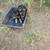 GERMAN SHEPHERD 6 thumbnail