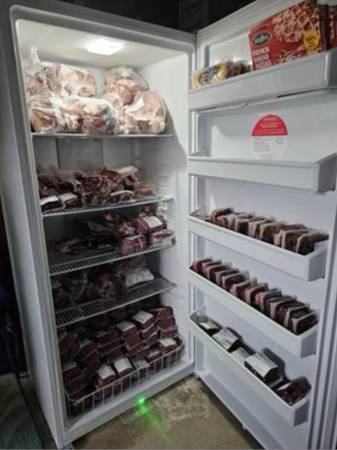 Freezer Upright with locking door 1