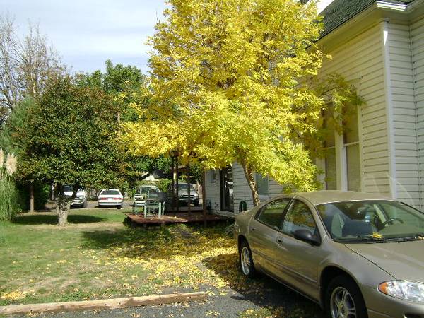 $780 / 3br - Downtown Hillsboro ROOM-- All Utilities Paid--NO APP FEE (Hillsboro)63672512249089121
