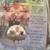 Nojo Reversible Shopping Cart Cover Excellent 5 thumbnail