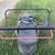 MTD lawn mower ( 6.75HP)great shape , easy to start up 7 thumbnail