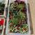 Christmas Decor ~ Greenery~ Ornaments ~ Bells ~ Flowers 5 thumbnail