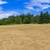 PRICE REDUCED! 4.28 ACRES HOUSE AND ACREAGE in Surrey 4 thumbnail