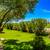 Tucson / SaddleBrooke 55+ Community Home for Sale with Dual Views! 22 thumbnail