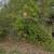 Vacant lot in Hammond for Sale 3 thumbnail