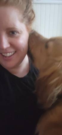 Pet Sitting 1