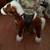 Large plush horse 1 thumbnail