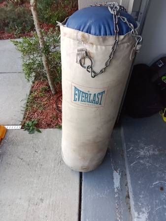 Everlast punching bag 1