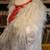 PK Pap Kik Reversible White Leather Rabbit Fur Coat Floral Embroidered France S2 13 thumbnail