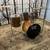 CB VINTAGE FULL SIZE COMPLETE DRUM SET ~ ZILDJIAN / SABIAN CYMBALS & HIHATS ~ AL 2 thumbnail