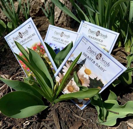 SEMILLAS GRATIS con consejos y recomendaciones para césped y jardín - $5 (Bethesda)634708163098911226