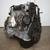 JDM 1998 - 2002 Honda Accord F23A F23A1 2.3L SOHC VTEC ENGINE 4 thumbnail
