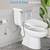 Brand New Elongated Bidet Toilet Seat 6 thumbnail