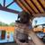 Mini dachshund puppies 3 thumbnail