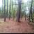 FSBO: Cabin w/Land 4 thumbnail