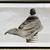 Massive Signed Photographic Print by Drew Doggett 1 thumbnail
