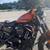 H-D Certified 2020Harley-Davidson XL-883 Iron 5 thumbnail
