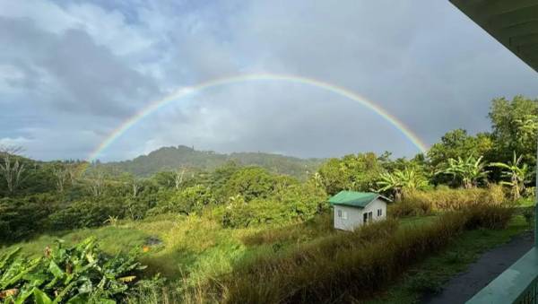 $300 / 200ft2 - Work Trade Cabin on Permaculture Homestead (Cabin for Handy Worktrader on Haiku Permaculture Homestead)63686673047171121