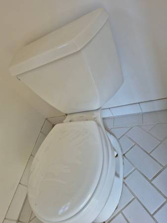 FLASH SALE!!! Kohler toilet 1