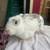 Rabbit/ bunny 4 thumbnail