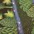 Henri-Robert Brasil Le Paradis-Paradise, Tropical Verdant Fantasy Land 5 thumbnail