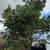 LANDSCAPE DESIGN • CONSULTING • WHOLESALE PLANT FURNISHING 14 thumbnail