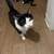 Rehoming Beans 3 thumbnail