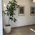 Beautiful Corner office Space in the Heart of Downtown Davis 4 thumbnail