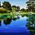Alex Nizovsky - Spring In Golden Gate - Modern Landscape Art 30"x24" 1 thumbnail