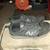 NEW BALANCE INDUSTRIAL COMP0SITE TOE 412 SIZE 14 1 thumbnail