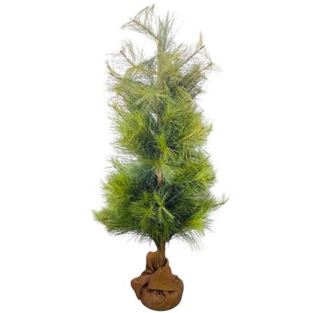 Vintage Faux Long Needle Pine Tree With Burlap Base 46” 1