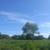 LAND FOR SALE 10 thumbnail