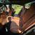 2014 BMW 650i X Drive Gran Coupe -- By Owner 5 thumbnail