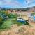 Peaceful, Cozy Room in a Plant-Filled 2BR Home – Available NOW! 1 thumbnail