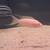 Albino Brichardi Fairy Cichlid Fish 2 thumbnail