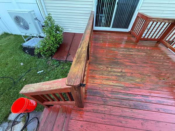 We are local, Fully Insured and Professional. Paint, Stain, Remodel 1