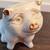 United States Marine Corp Vintage Porcelain Gold Leaf Coin Piggy Bank. 4 thumbnail