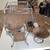 4 Wicker Baskets + A Wicker Stand 1 thumbnail