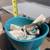 Flower Pots 5 thumbnail