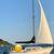 1974 Catalina 27 Sailboat (AS-IS) 14 thumbnail