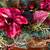 LN HOLIDAY CENTERPIECE 32” 2 thumbnail