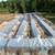 Cheap Drain Field Replacement – Septic System Repair – Free Diagnostic Visit 4 thumbnail
