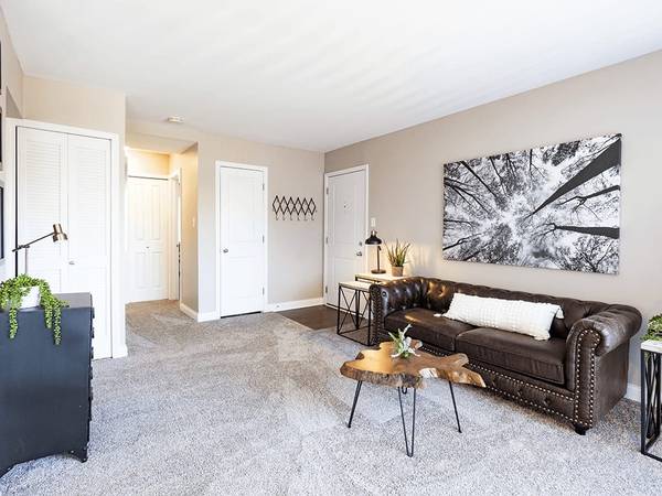 Sprawling Sundeck, Playground, In-Water Lounge Chairs 1