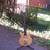 Vantage Bass 1 thumbnail