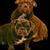 Exotic nano bully 2 thumbnail