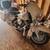 1989 Harley Davidson Electra Glide 1 thumbnail