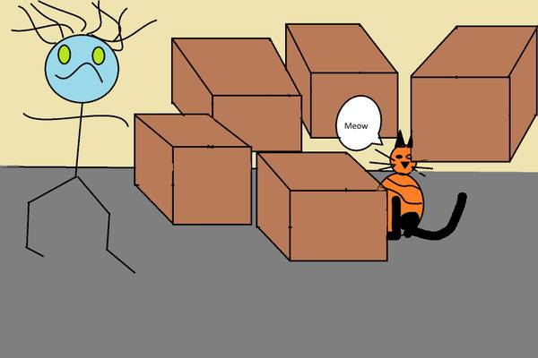 Do You Have So Much Stuff You can't find your Cat? 50% off 1st month 1