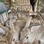 Tennesse redback  rabbits 1 thumbnail